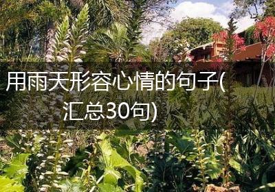 用雨天形容心情的句子(汇总30句)