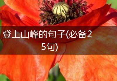 登上山峰的句子(必备25句)