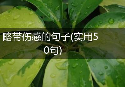 略带伤感的句子(实用50句)