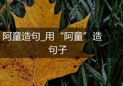 阿童造句_用“阿童”造句子
