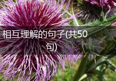 相互理解的句子(共50句)