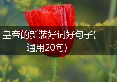 皇帝的新装好词好句子(通用20句)