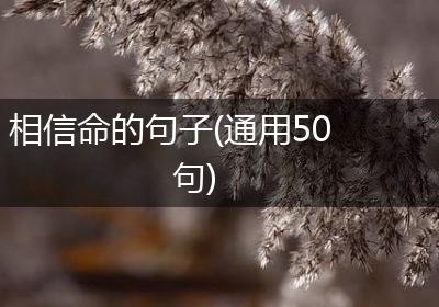 相信命的句子(通用50句)