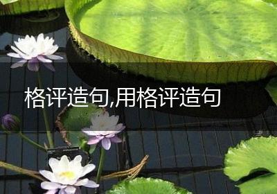 格评造句,用格评造句