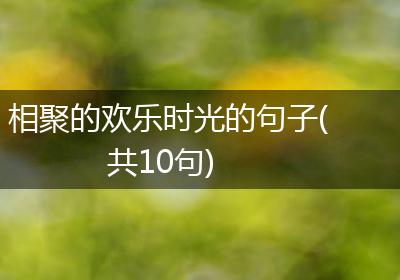 相聚的欢乐时光的句子(共10句)