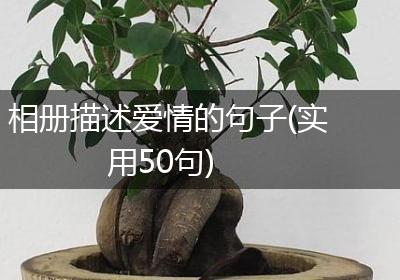相册描述爱情的句子(实用50句)