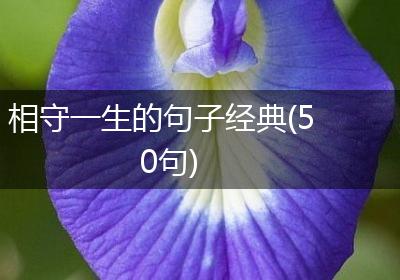 相守一生的句子经典(50句)