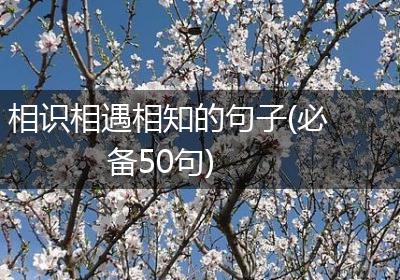 相识相遇相知的句子(必备50句)