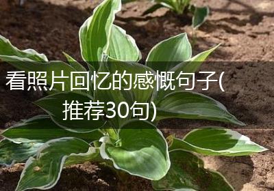 看照片回忆的感慨句子(推荐30句)