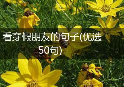 看穿假朋友的句子(优选50句)