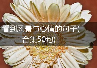 看到风景与心情的句子(合集50句)