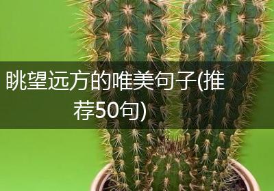 眺望远方的唯美句子(推荐50句)