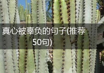 真心被辜负的句子(推荐50句)