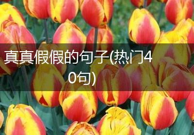 真真假假的句子(热门40句)