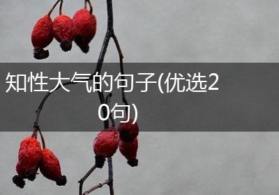 知性大气的句子(优选20句)