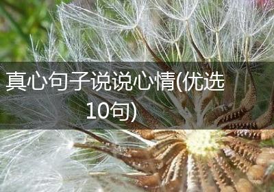 真心句子说说心情(优选10句)