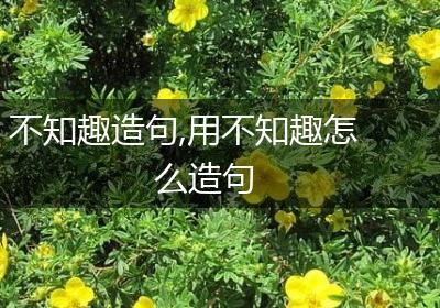 不知趣造句,用不知趣怎么造句