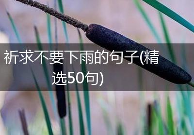 祈求不要下雨的句子(精选50句)