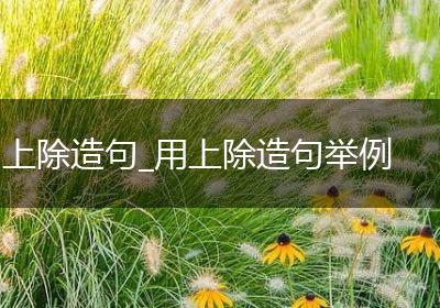 上除造句_用上除造句举例