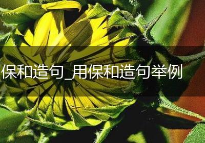 保和造句_用保和造句举例