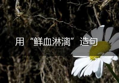 用“鲜血淋漓”造句
