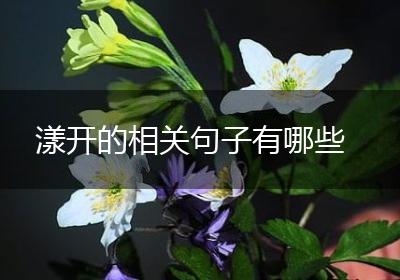 漾开的相关句子有哪些
