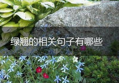 绿翘的相关句子有哪些