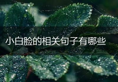 小白脸的相关句子有哪些