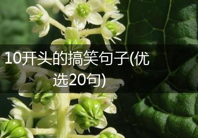 10开头的搞笑句子(优选20句)