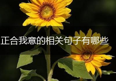 正合我意的相关句子有哪些