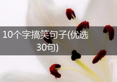 10个字搞笑句子(优选30句)