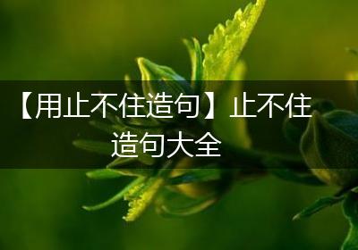【用止不住造句】止不住造句大全