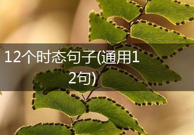 12个时态句子(通用12句)