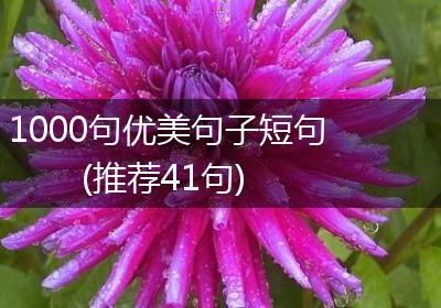 1000句优美句子短句(推荐41句)