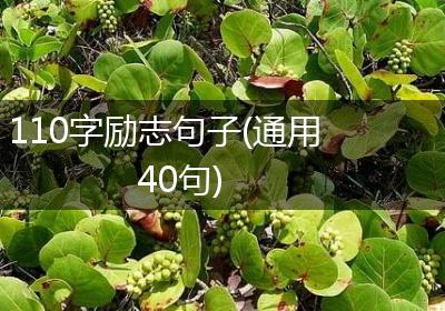 110字励志句子(通用40句)