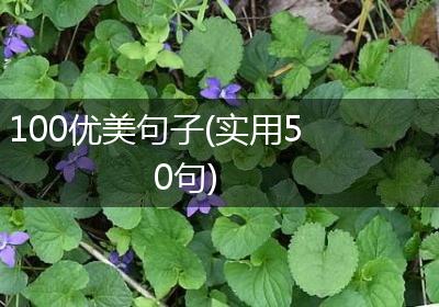 100优美句子(实用50句)