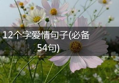 12个字爱情句子(必备54句)