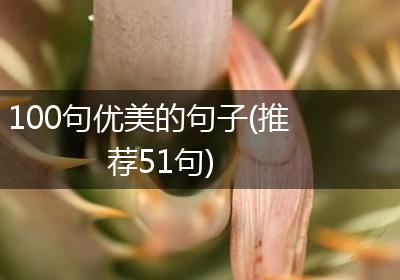 100句优美的句子(推荐51句)
