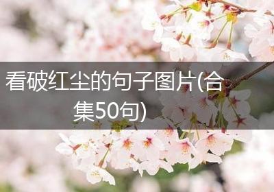 看破红尘的句子图片(合集50句)