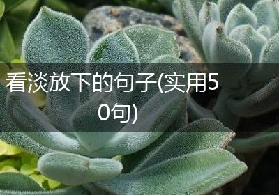 看淡放下的句子(实用50句)