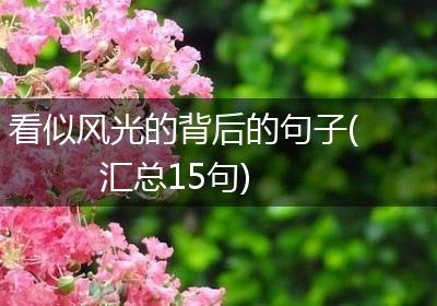 看似风光的背后的句子(汇总15句)