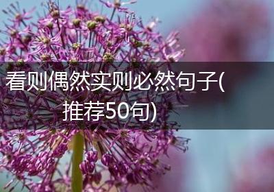 看则偶然实则必然句子(推荐50句)