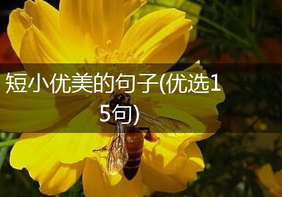 短小优美的句子(优选15句)