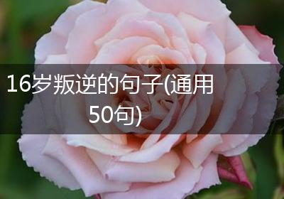 16岁叛逆的句子(通用50句)