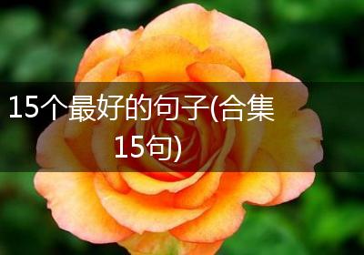 15个最好的句子(合集15句)