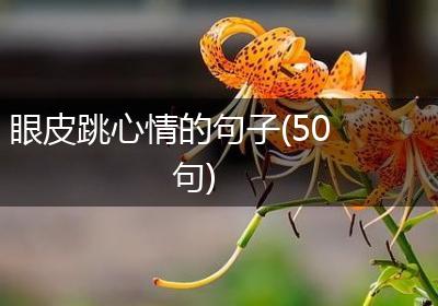 眼皮跳心情的句子(50句)
