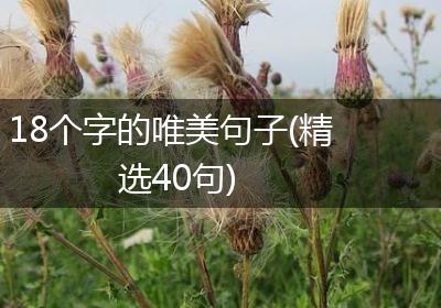 18个字的唯美句子(精选40句)