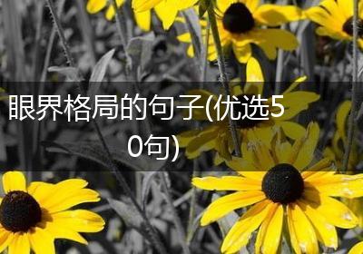 眼界格局的句子(优选50句)