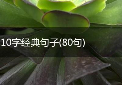 10字经典句子(80句)