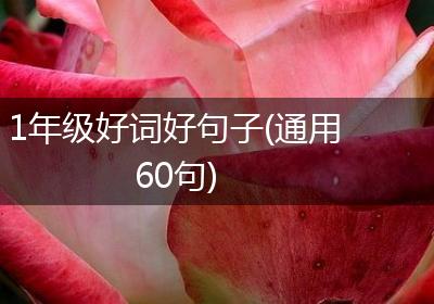 1年级好词好句子(通用60句)